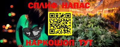 шишки Шахты