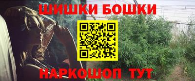 шишки Шахты