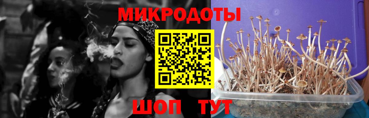 Борисоглебск  Галлюциногенные грибы Psilocybine cubensis  купить   Вход с VPN 